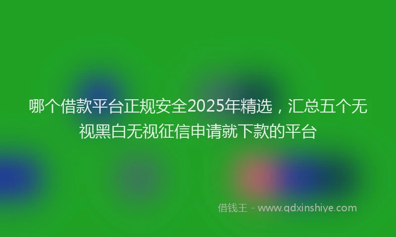 哪个借款平台正规安全2025年精选，汇总五个无视黑白无视征信申请就下款的平台