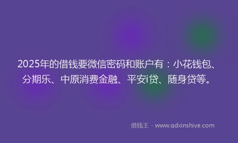 2025年的借钱要微信密码和账户有：小花钱包、分期乐、中原消费金融、平安i贷、随身贷等。