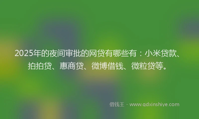 2025年的夜间审批的网贷有哪些有：小米贷款、拍拍贷、惠商贷、微博借钱、微粒贷等。