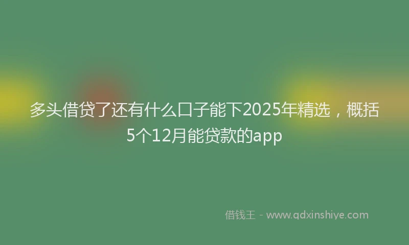 多头借贷了还有什么口子能下2025年精选，概括5个12月能贷款的app