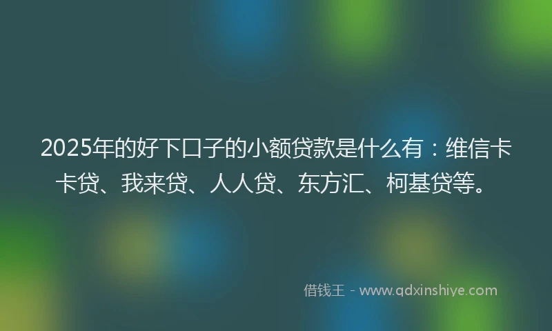2025年的好下口子的小额贷款是什么有：维信卡卡贷、我来贷、人人贷、东方汇、柯基贷等。