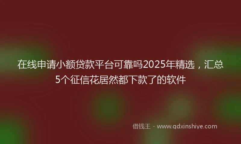 在线申请小额贷款平台可靠吗2025年精选，汇总5个征信花居然都下款了的软件
