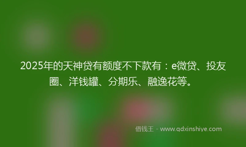 2025年的天神贷有额度不下款有：e微贷、投友圈、洋钱罐、分期乐、融逸花等。