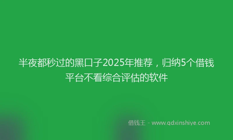 半夜都秒过的黑口子2025年推荐，归纳5个借钱平台不看综合评估的软件