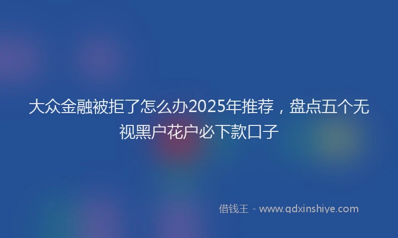 大众金融被拒了怎么办2025年推荐，盘点五个无视黑户花户必下款口子