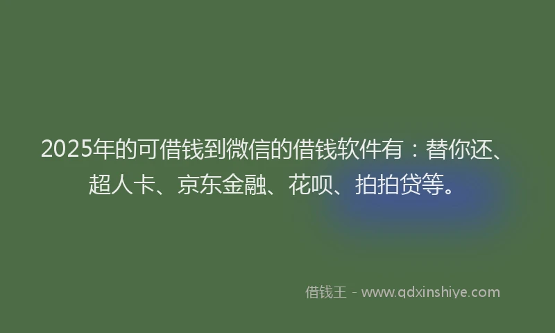 2025年的可借钱到微信的借钱软件有：替你还、超人卡、京东金融、花呗、拍拍贷等。