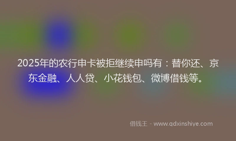 2025年的农行申卡被拒继续申吗有：替你还、京东金融、人人贷、小花钱包、微博借钱等。