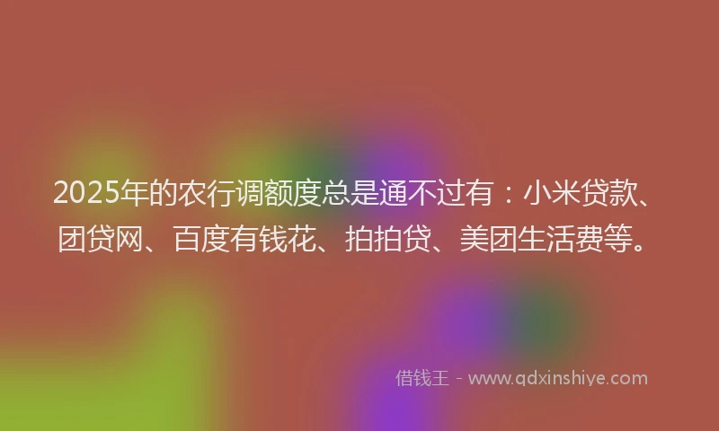 2025年的农行调额度总是通不过有：小米贷款、团贷网、百度有钱花、拍拍贷、美团生活费等。