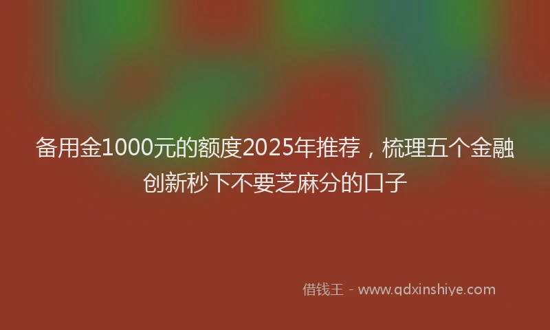 备用金1000元的额度2025年推荐，梳理五个金融创新秒下不要芝麻分的口子