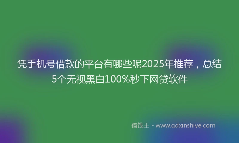 凭手机号借款的平台有哪些呢2025年推荐，总结5个无视黑白100%秒下网贷软件
