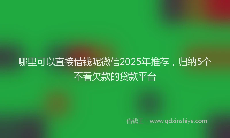 哪里可以直接借钱呢微信2025年推荐，归纳5个不看欠款的贷款平台