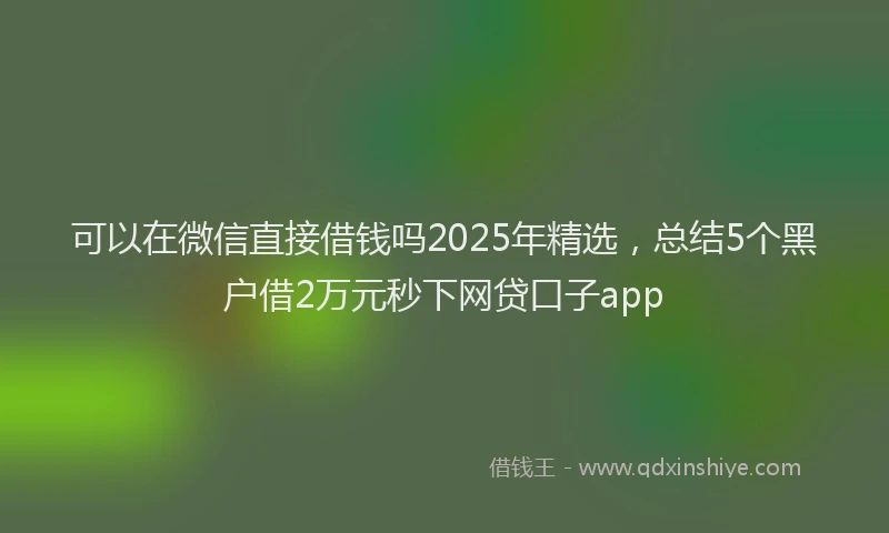 可以在微信直接借钱吗2025年精选，总结5个黑户借2万元秒下网贷口子app