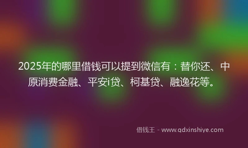2025年的哪里借钱可以提到微信有：替你还、中原消费金融、平安i贷、柯基贷、融逸花等。