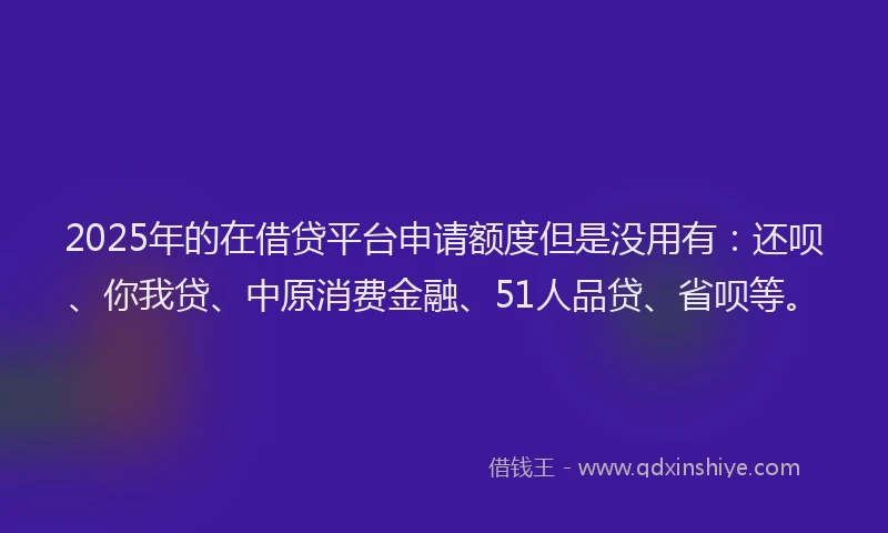 2025年的在借贷平台申请额度但是没用有：还呗、你我贷、中原消费金融、51人品贷、省呗等。