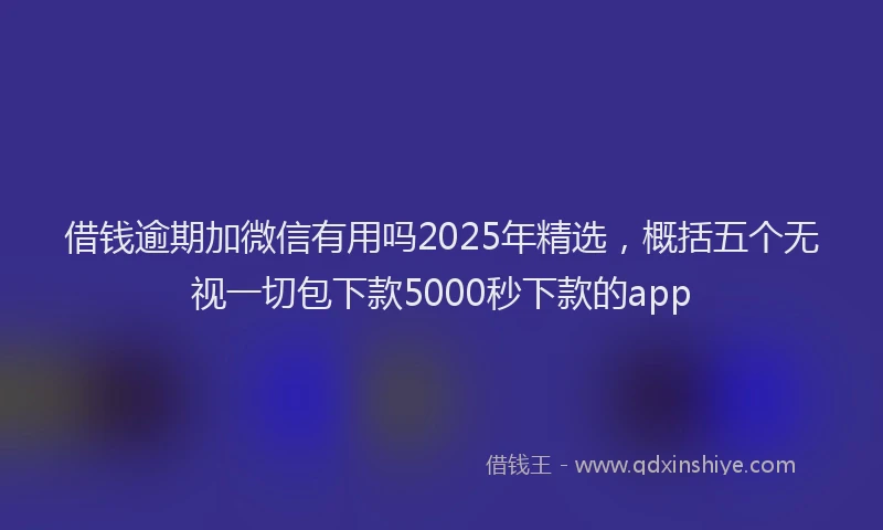 借钱逾期加微信有用吗2025年精选，概括五个无视一切包下款5000秒下款的app