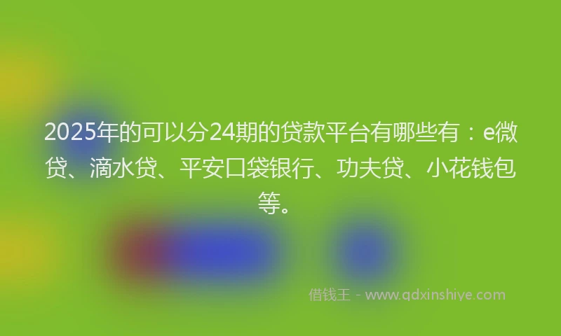 2025年的可以分24期的贷款平台有哪些有：e微贷、滴水贷、平安口袋银行、功夫贷、小花钱包等。