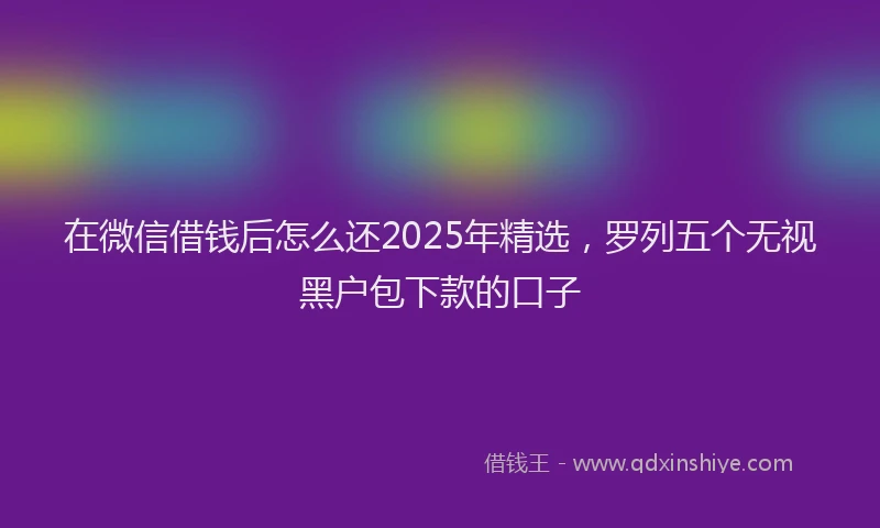 在微信借钱后怎么还2025年精选，罗列五个无视黑户包下款的口子