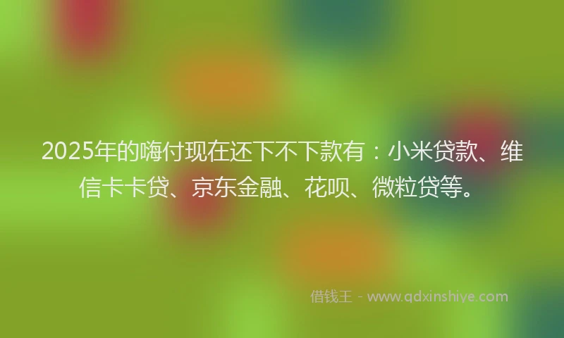 2025年的嗨付现在还下不下款有：小米贷款、维信卡卡贷、京东金融、花呗、微粒贷等。