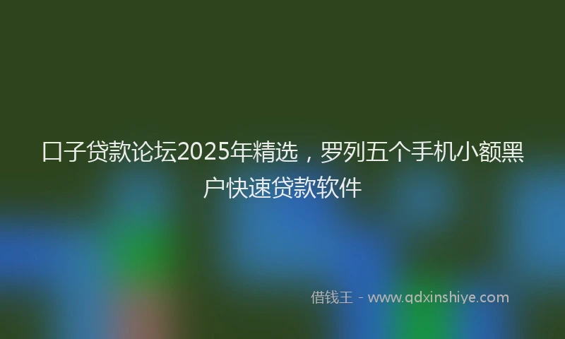 口子贷款论坛2025年精选，罗列五个手机小额黑户快速贷款软件