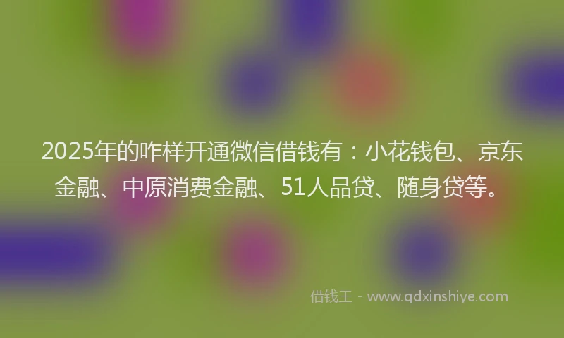 2025年的咋样开通微信借钱有：小花钱包、京东金融、中原消费金融、51人品贷、随身贷等。