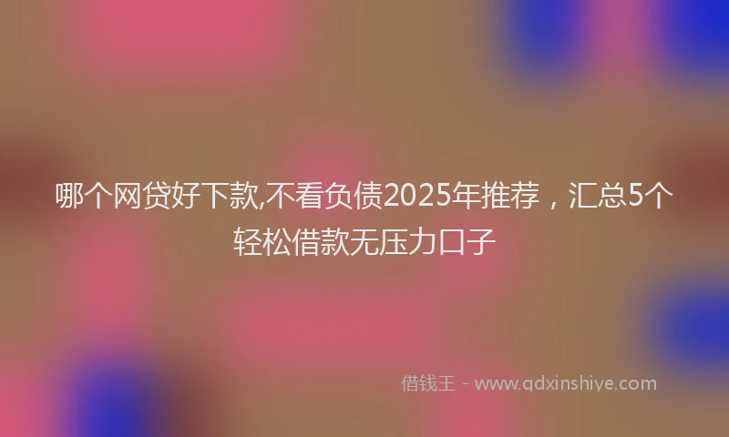 哪个网贷好下款,不看负债2025年推荐，汇总5个轻松借款无压力口子