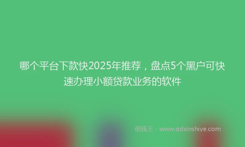哪个平台下款快2025年推荐，盘点5个黑户可快速办理小额贷款业务的软件