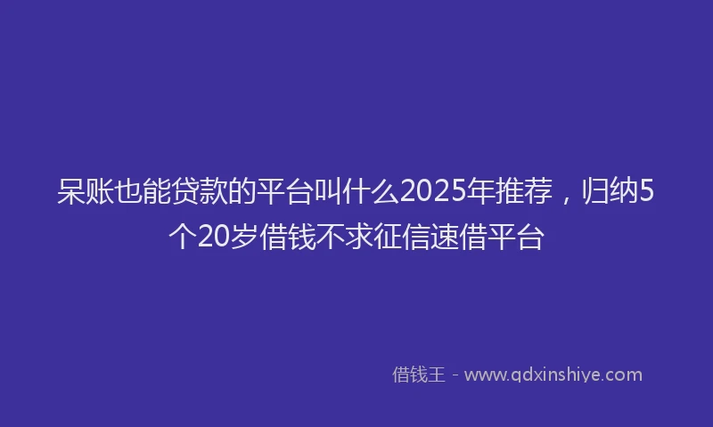 呆账也能贷款的平台叫什么2025年推荐，归纳5个20岁借钱不求征信速借平台