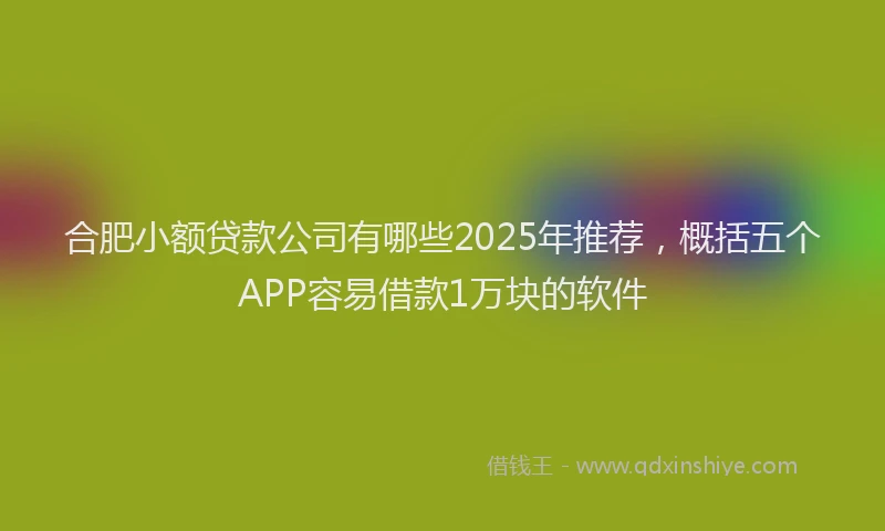 合肥小额贷款公司有哪些2025年推荐，概括五个APP容易借款1万块的软件