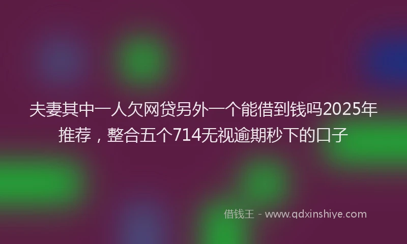 夫妻其中一人欠网贷另外一个能借到钱吗2025年推荐，整合五个714无视逾期秒下的口子