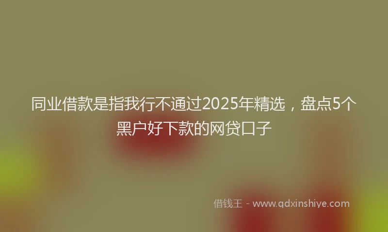 同业借款是指我行不通过2025年精选，盘点5个黑户好下款的网贷口子