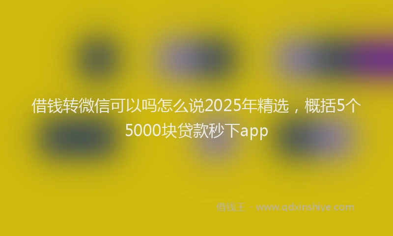 借钱转微信可以吗怎么说2025年精选，概括5个5000块贷款秒下app