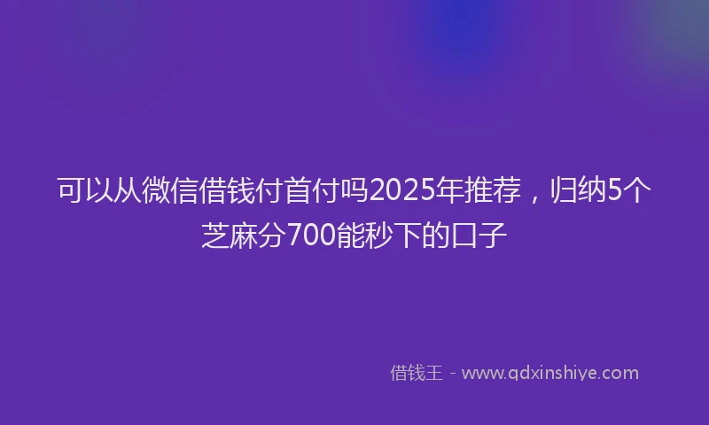 可以从微信借钱付首付吗2025年推荐，归纳5个芝麻分700能秒下的口子