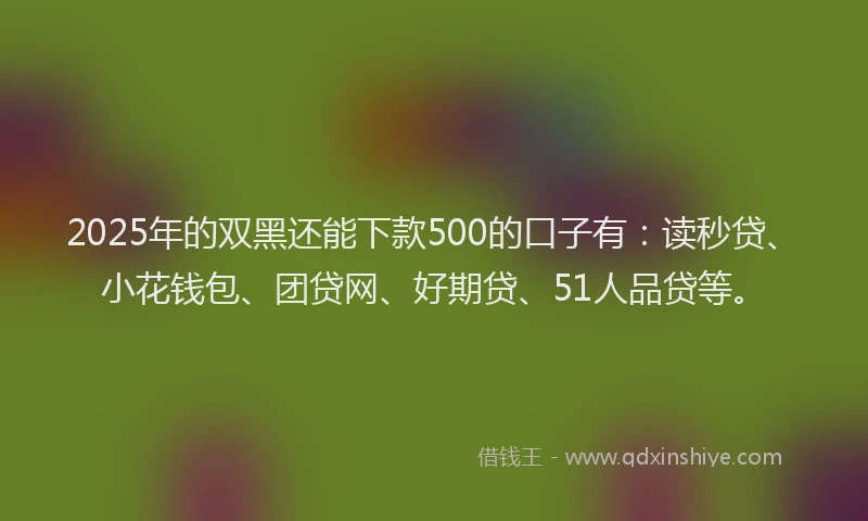 2025年的双黑还能下款500的口子有：读秒贷、小花钱包、团贷网、好期贷、51人品贷等。