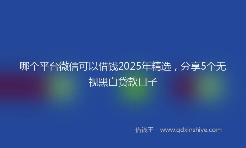 哪个平台微信可以借钱2025年精选，分享5个无视黑白贷款口子