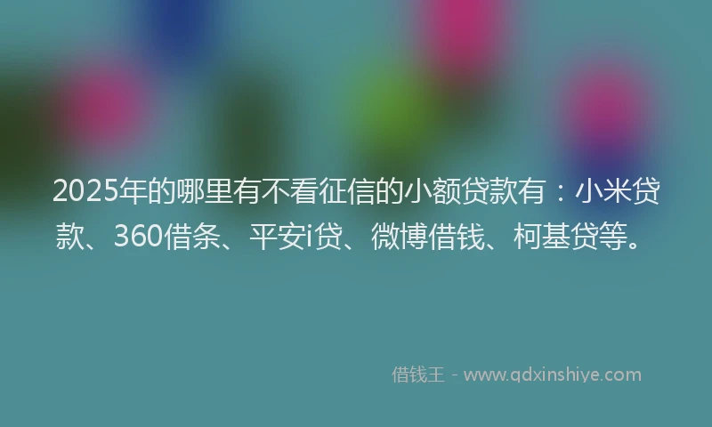 2025年的哪里有不看征信的小额贷款有：小米贷款、360借条、平安i贷、微博借钱、柯基贷等。