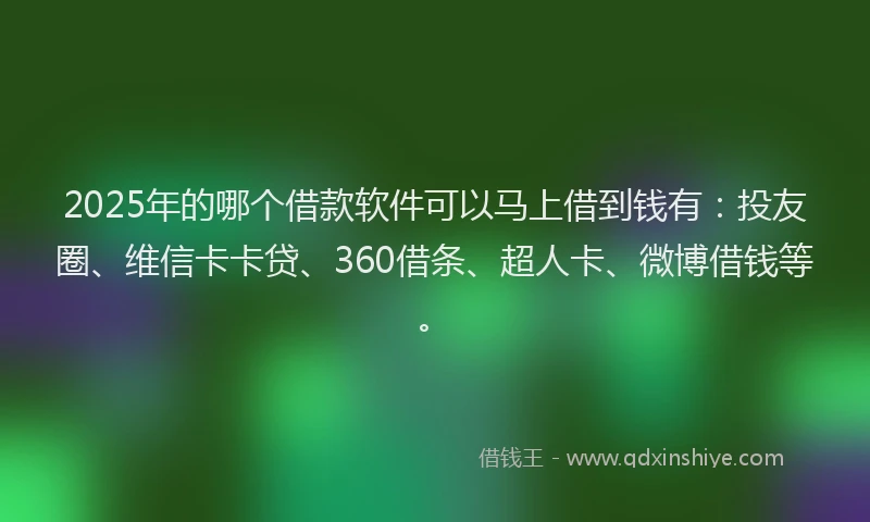 2025年的哪个借款软件可以马上借到钱有：投友圈、维信卡卡贷、360借条、超人卡、微博借钱等。
