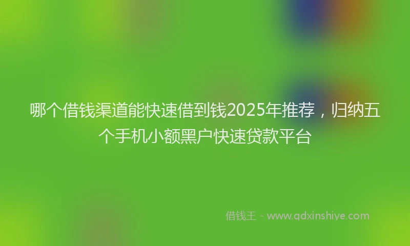 哪个借钱渠道能快速借到钱2025年推荐，归纳五个手机小额黑户快速贷款平台