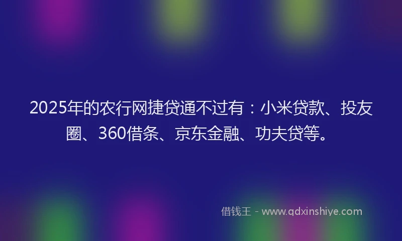 2025年的农行网捷贷通不过有：小米贷款、投友圈、360借条、京东金融、功夫贷等。