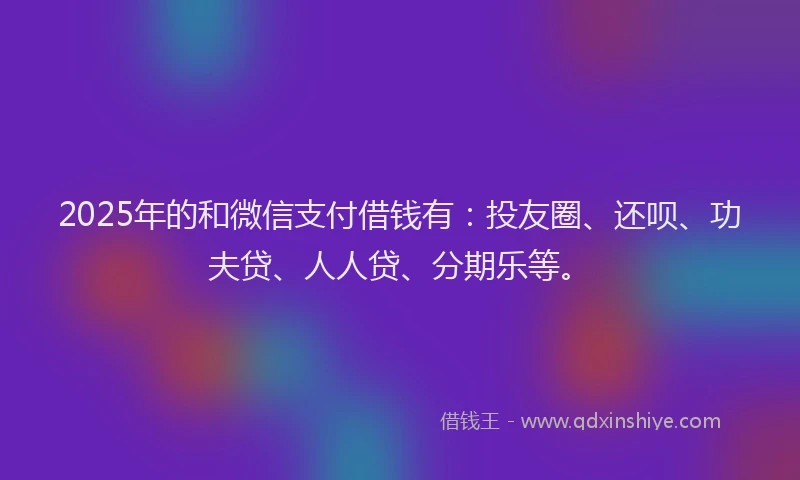 2025年的和微信支付借钱有：投友圈、还呗、功夫贷、人人贷、分期乐等。