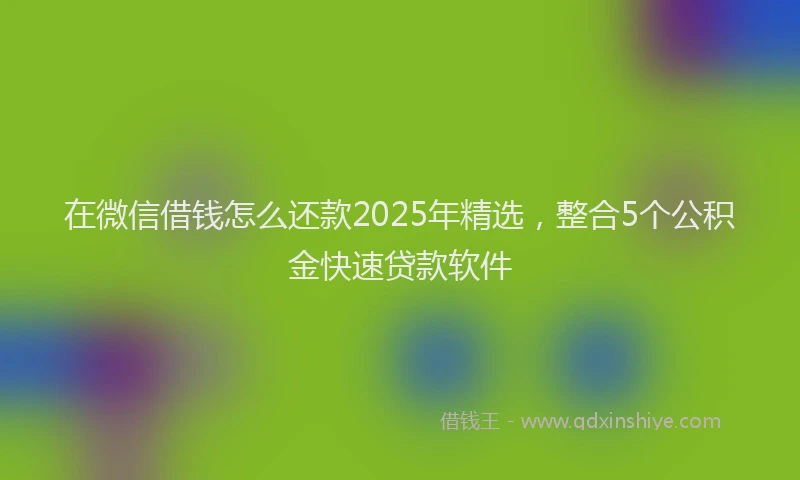 在微信借钱怎么还款2025年精选，整合5个公积金快速贷款软件