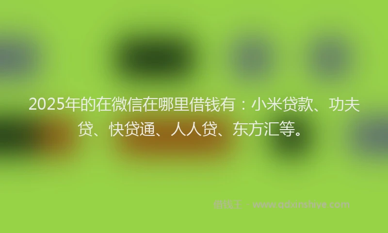 2025年的在微信在哪里借钱有：小米贷款、功夫贷、快贷通、人人贷、东方汇等。