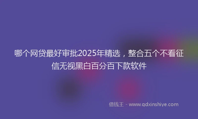 哪个网贷最好审批2025年精选，整合五个不看征信无视黑白百分百下款软件