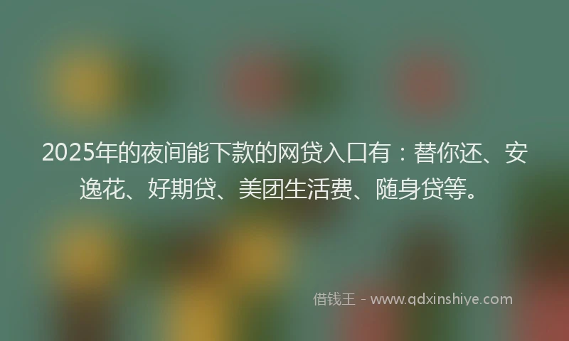 2025年的夜间能下款的网贷入口有：替你还、安逸花、好期贷、美团生活费、随身贷等。
