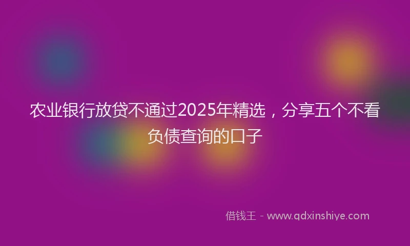 农业银行放贷不通过2025年精选，分享五个不看负债查询的口子