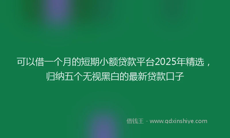 可以借一个月的短期小额贷款平台2025年精选，归纳五个无视黑白的最新贷款口子