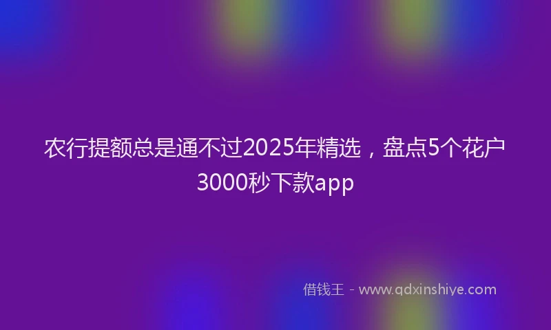 农行提额总是通不过2025年精选，盘点5个花户3000秒下款app
