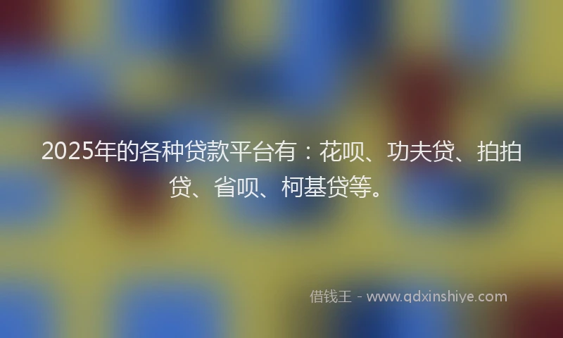 2025年的各种贷款平台有：花呗、功夫贷、拍拍贷、省呗、柯基贷等。