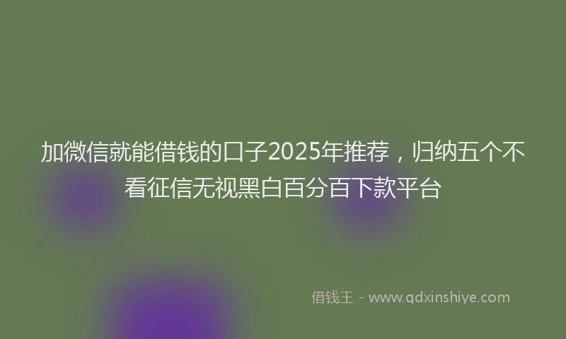 加微信就能借钱的口子2025年推荐，归纳五个不看征信无视黑白百分百下款平台