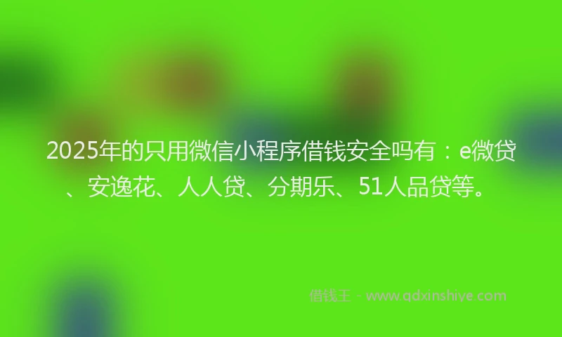 2025年的只用微信小程序借钱安全吗有：e微贷、安逸花、人人贷、分期乐、51人品贷等。