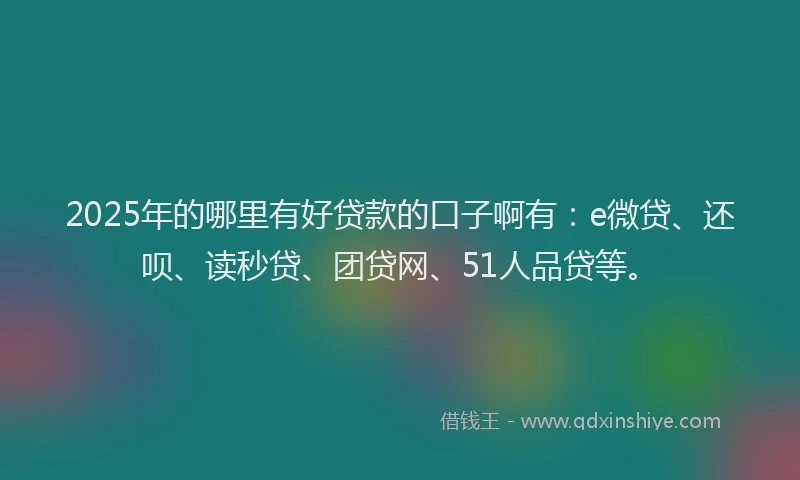 2025年的哪里有好贷款的口子啊有：e微贷、还呗、读秒贷、团贷网、51人品贷等。
